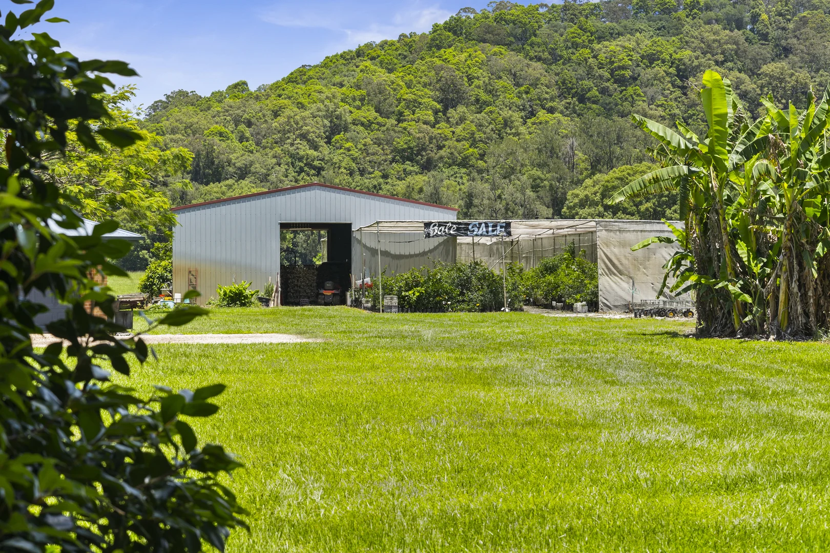 Additional image 27 of 981 Numinbah Road, Crystal Creek NSW 2484