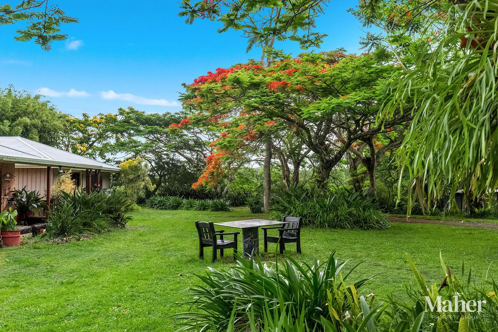 Additional image 6 of 141 Pearson Road, Eltham NSW 2480