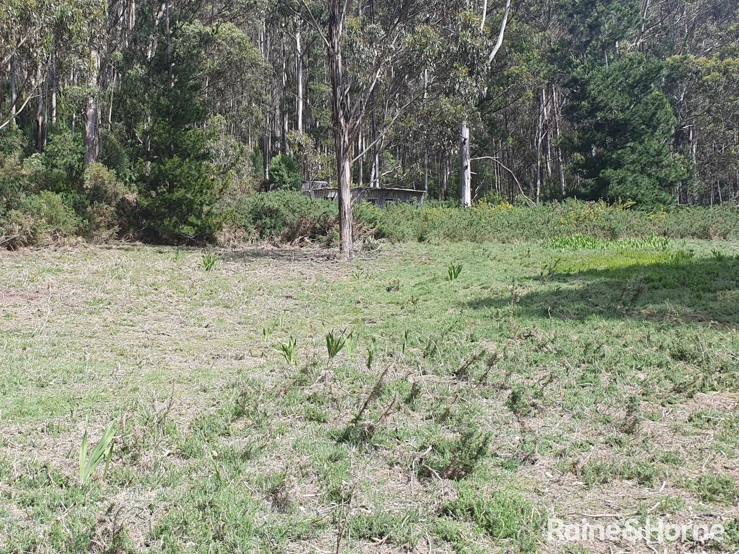 16 & 20 Russell Street, Gordon TAS 7150