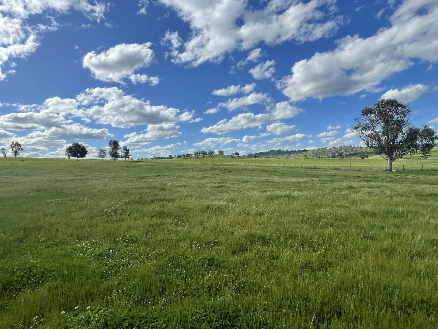 Additional image 11 of Lot 70 Cooney's Creek Road, Jugiong NSW 2726