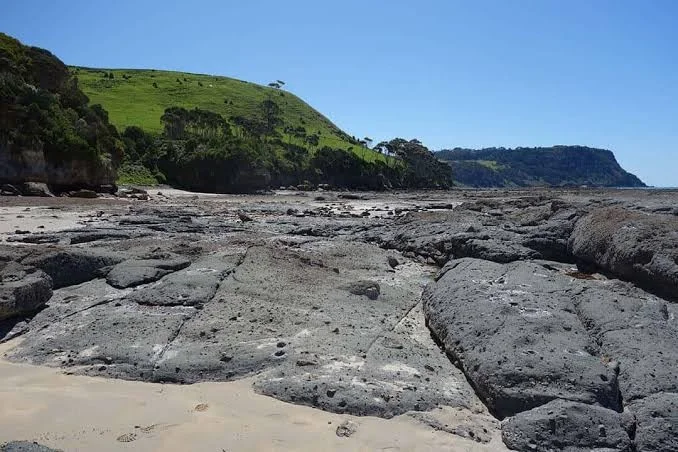 Additional image 2 of 10 Inglisdale Dr, Wynyard TAS 7325