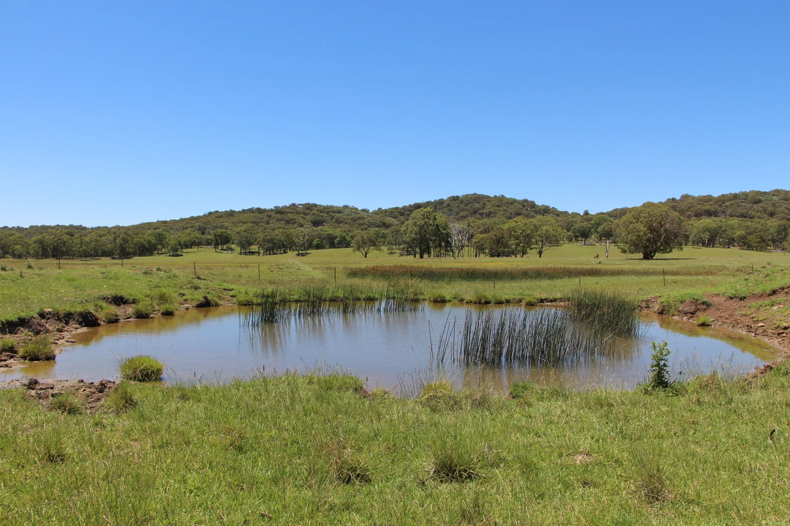 Additional image 3 of 134 Ruwenzorie Rd Wellingrove, Glen Innes NSW 2370