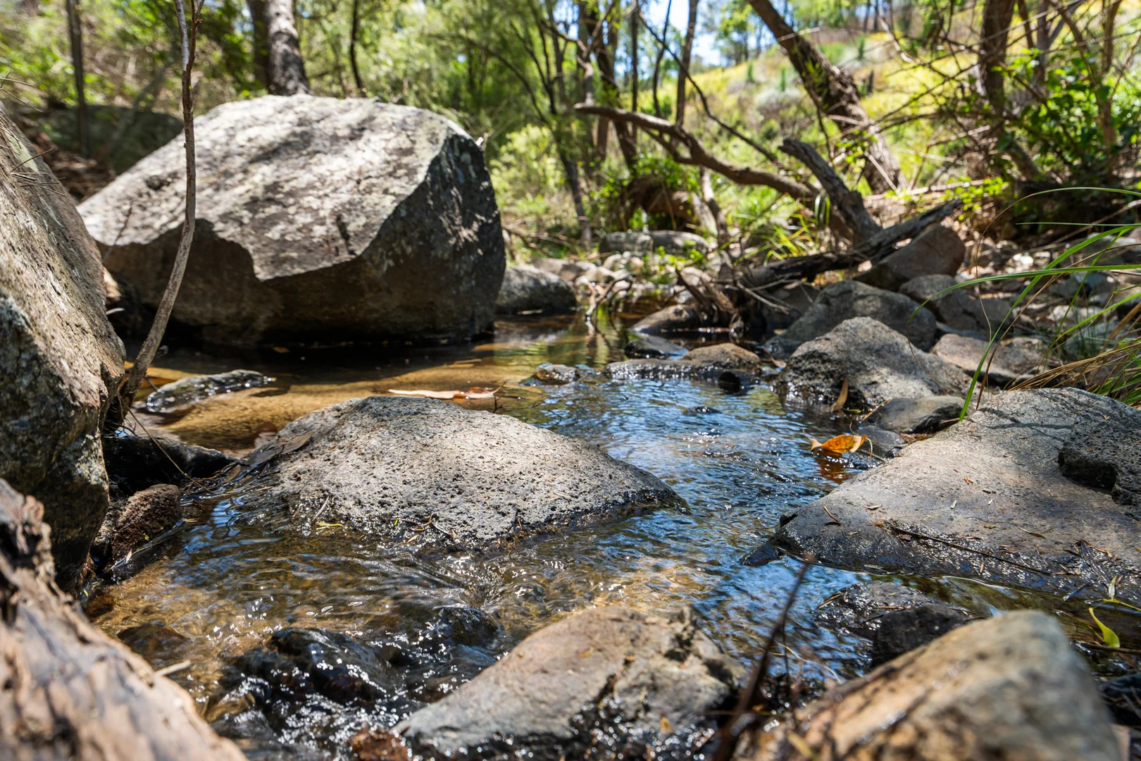 Additional image 10 of 225 Wild Deer Drive, Blackbutt QLD 4314