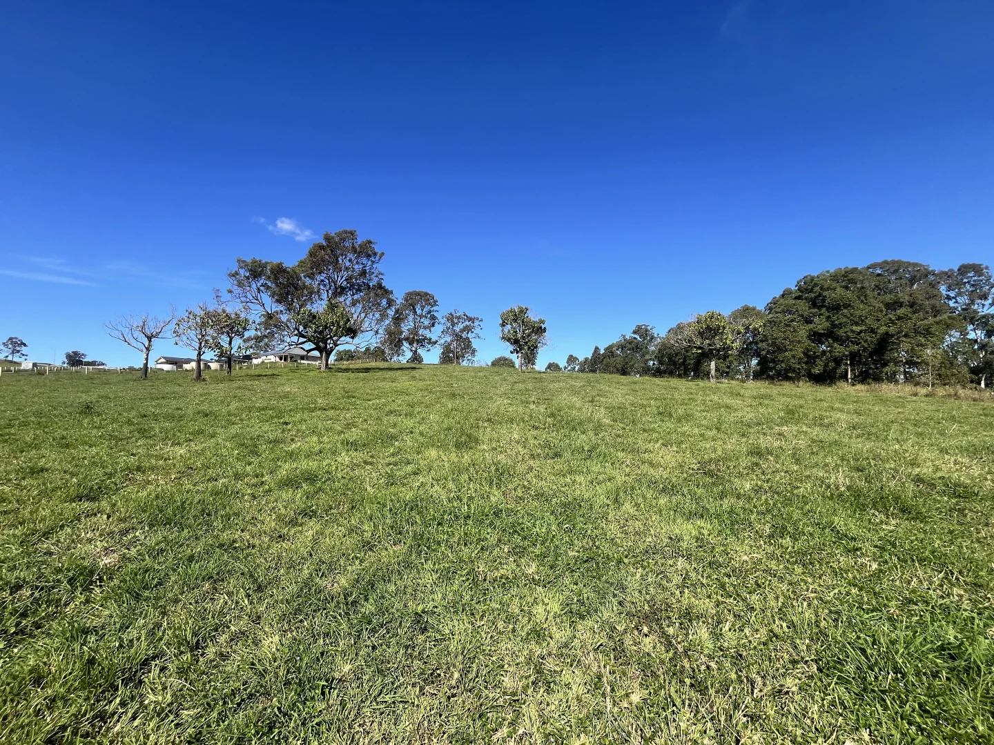 Additional image 8 of 1A Yarraman Drive, Kyogle NSW 2474