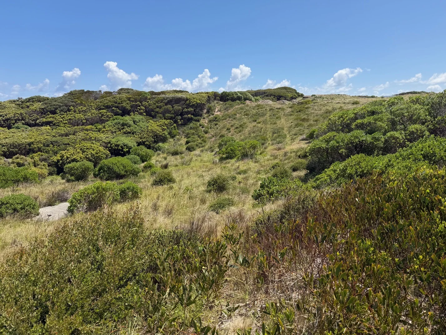 Additional image 6 of 20 Elginshore Drive, Currie TAS 7256