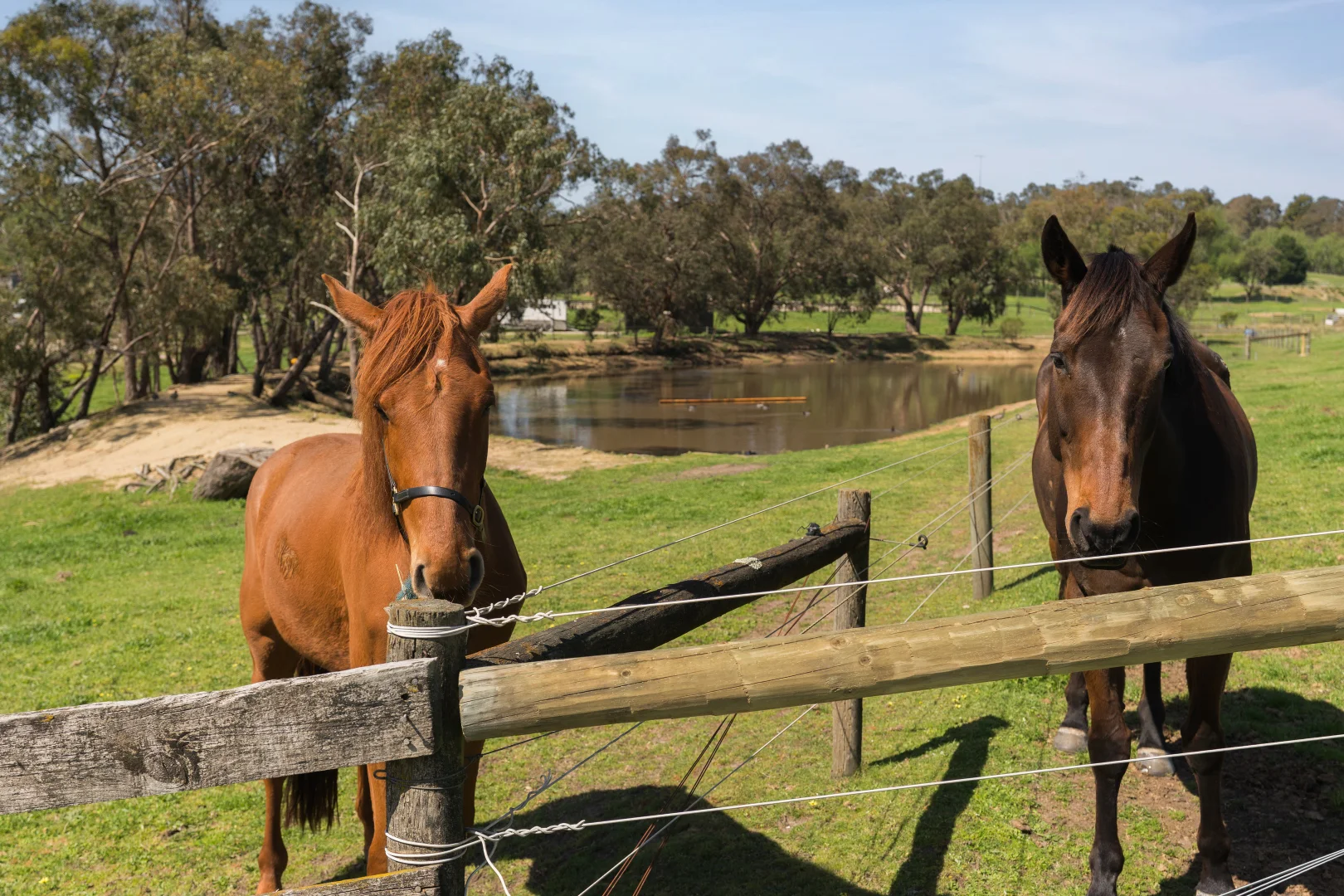 Additional image 28 of 22 Mountain Flat Road, Narre Warren East VIC 3804