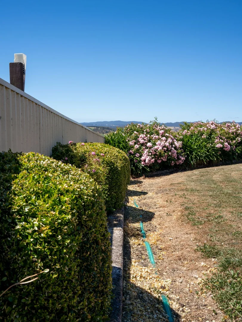 Additional image 38 of 123 Careys Road, West Kentish TAS 7306