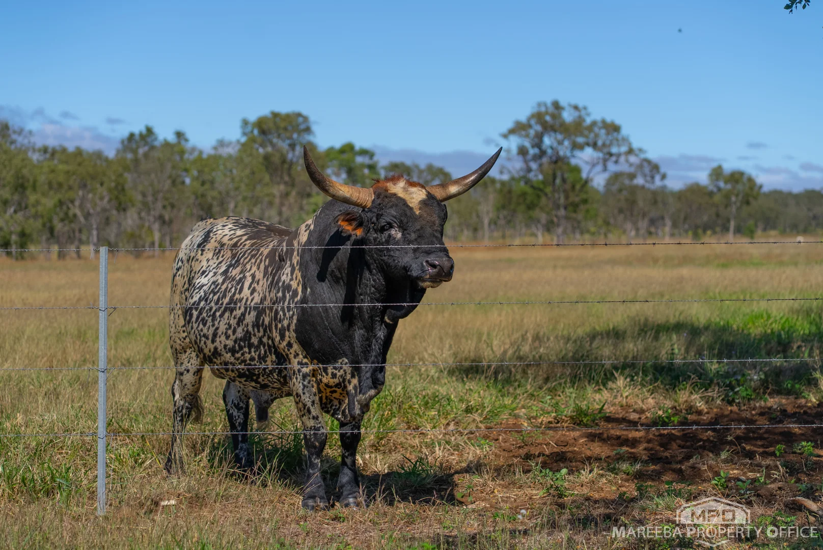 Additional image 60 of 76 Davies Creek Road, Mareeba QLD 4880