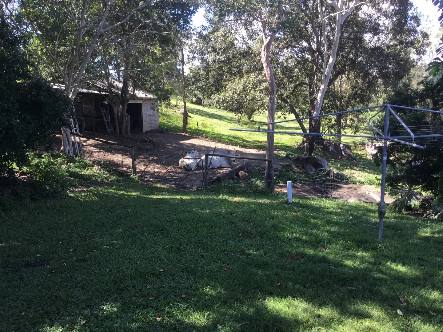 Additional image 7 of 39 Fryers Road, Hervey Range QLD 4817