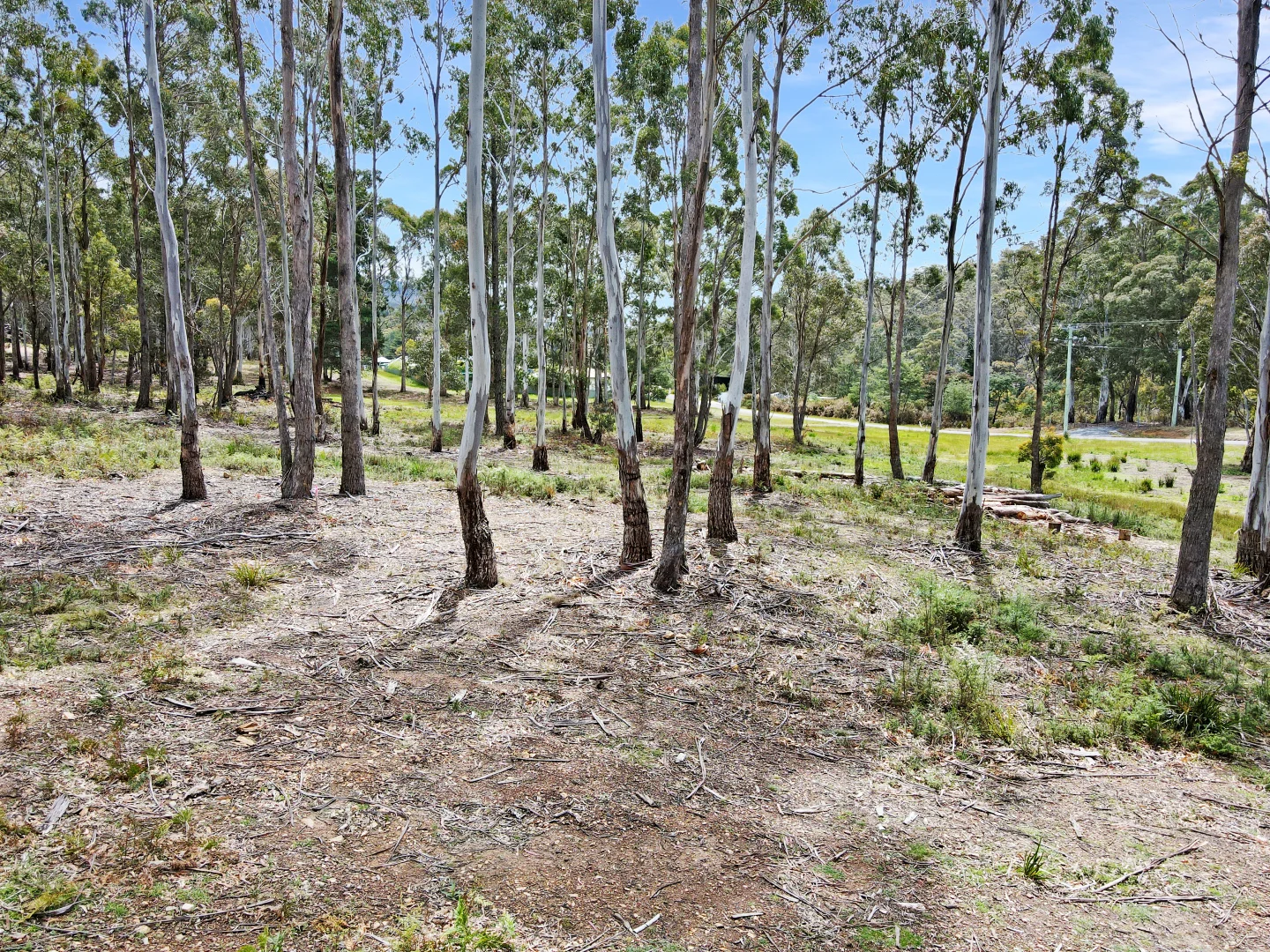 Additional image 5 of 32 Irish Town Road - Part PID-2697710, St Marys TAS 7215