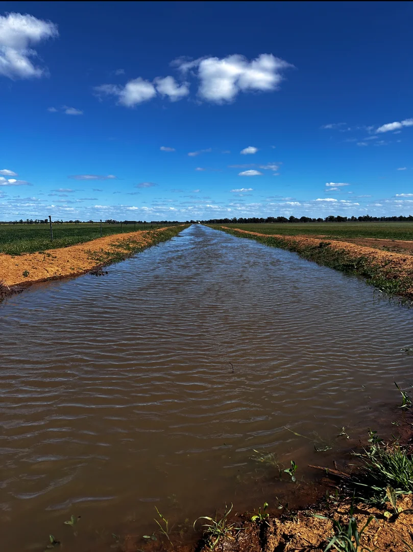 Additional image 14 of 229 Elliots Lane, Forbes NSW 2871