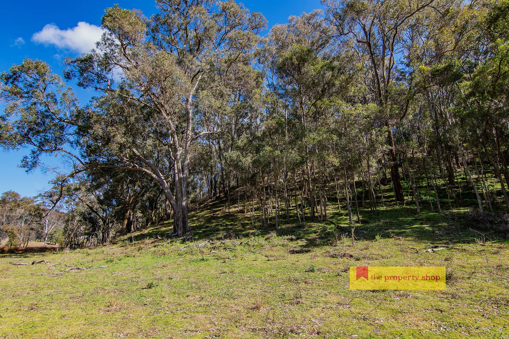 Additional image 11 of 210 Totnes Valley Road, Mudgee NSW 2850