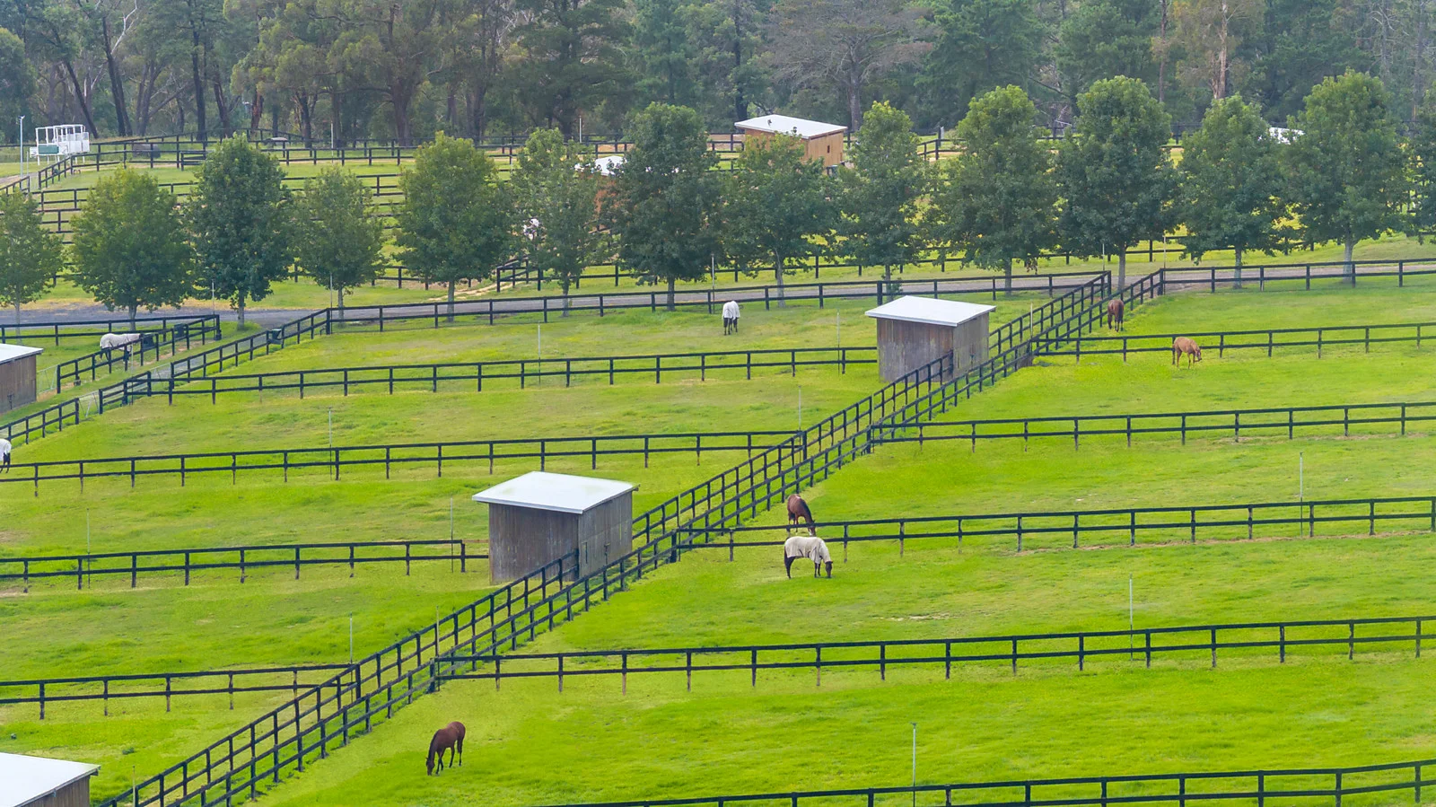 Additional image 7 of 176 Greta Road, Kulnura NSW 2250