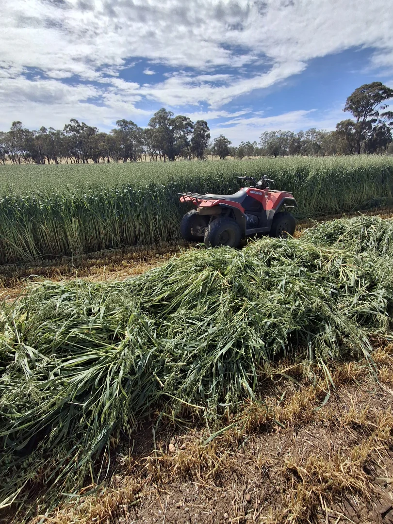 Additional image 2 of 1077 Horsham-Noradjuha Road, Lower Norton VIC 3401