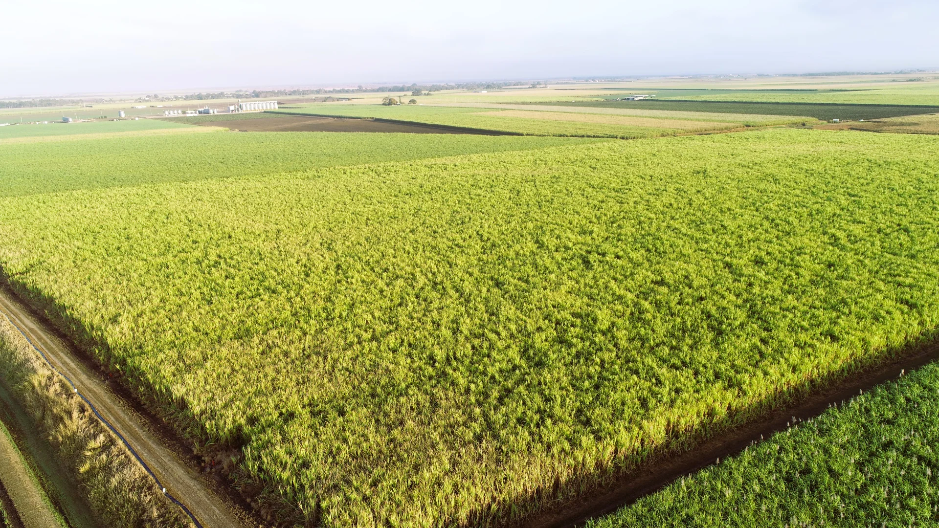 Additional image 7 of 20 Colevale Road, Brandon QLD 4808