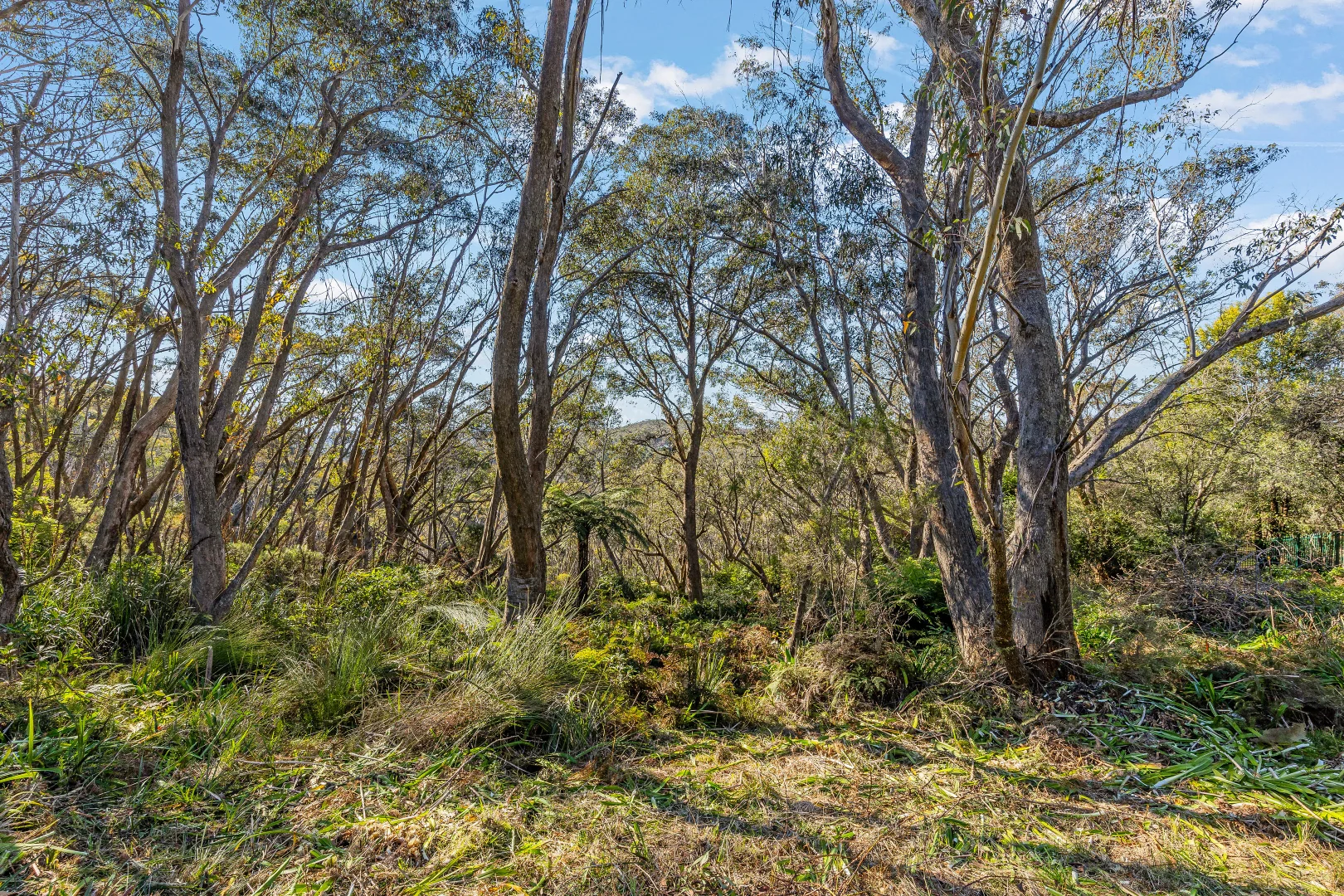 Additional image 5 of 5A Mount Hay Road, Leura NSW 2780