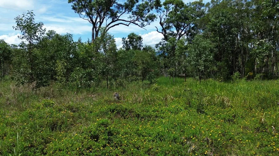 Additional image 5 of Lot 4 Pine Creek Road, East Trinity QLD 4871