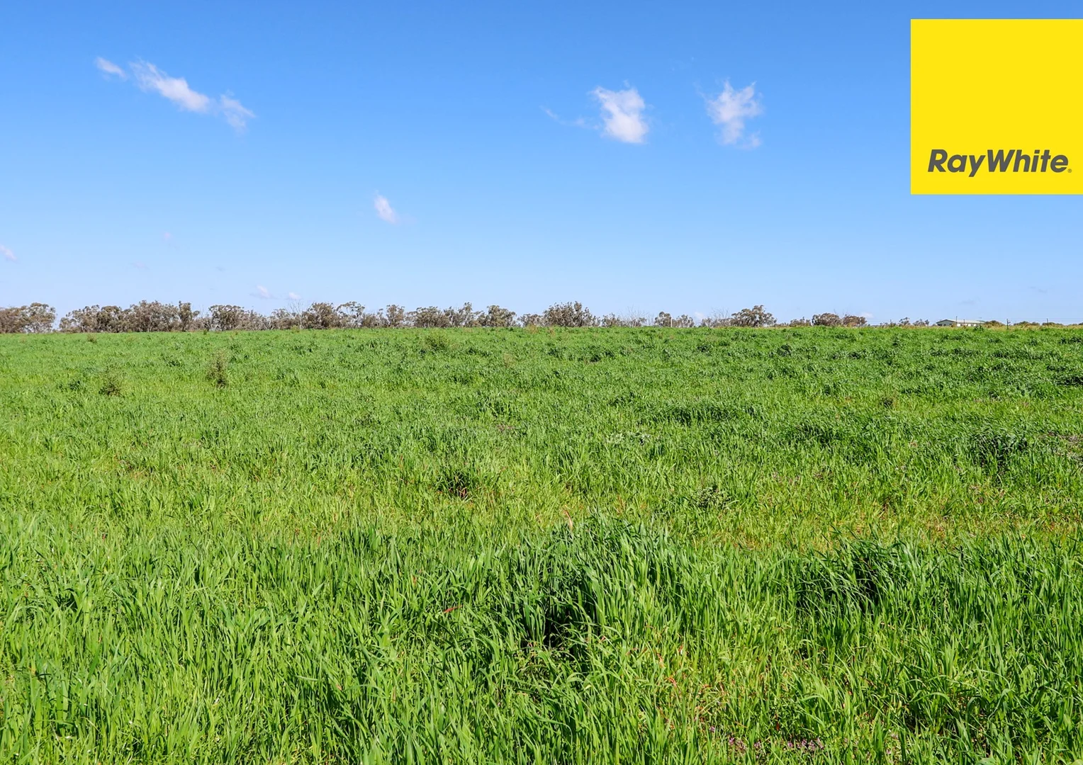 Additional image 7 of 154 Delungra Bypass Road, Inverell NSW 2360