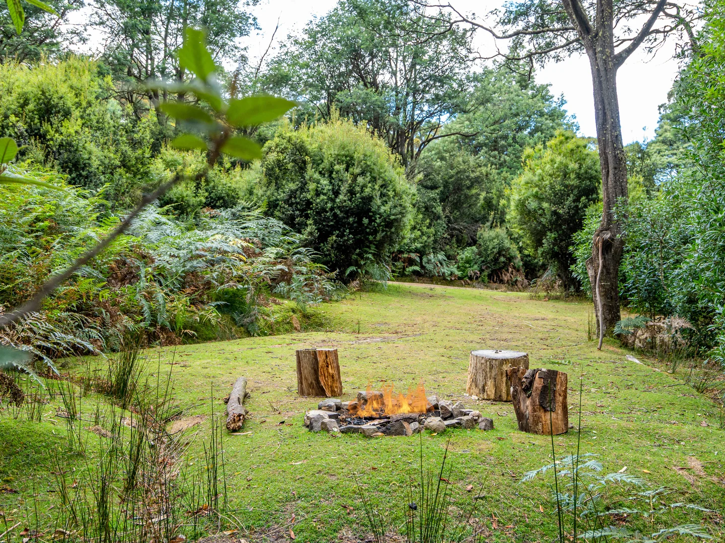 Additional image 18 of 300 Browns Road, Ranelagh TAS 7109