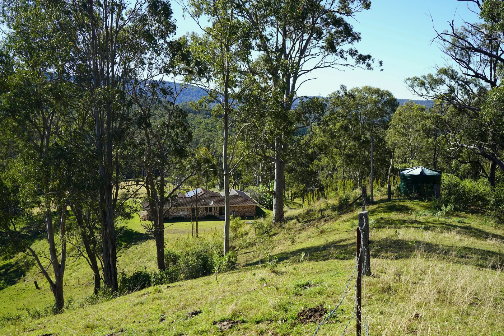 Additional image 16 of 2425 Pine Creek Rd, Lismore NSW 2480