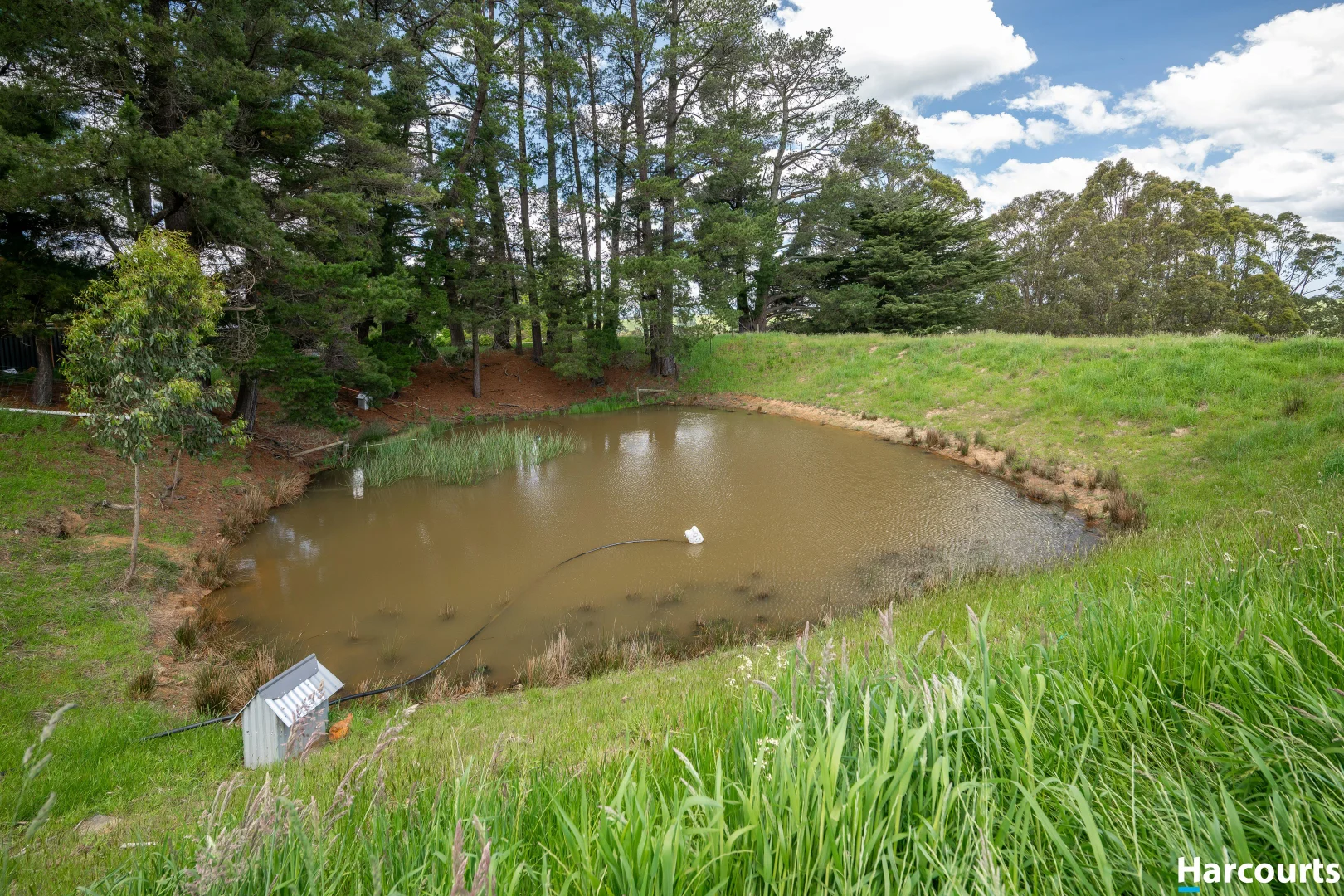 Additional image 32 of 228 Fullertons Road, Mirboo North VIC 3871