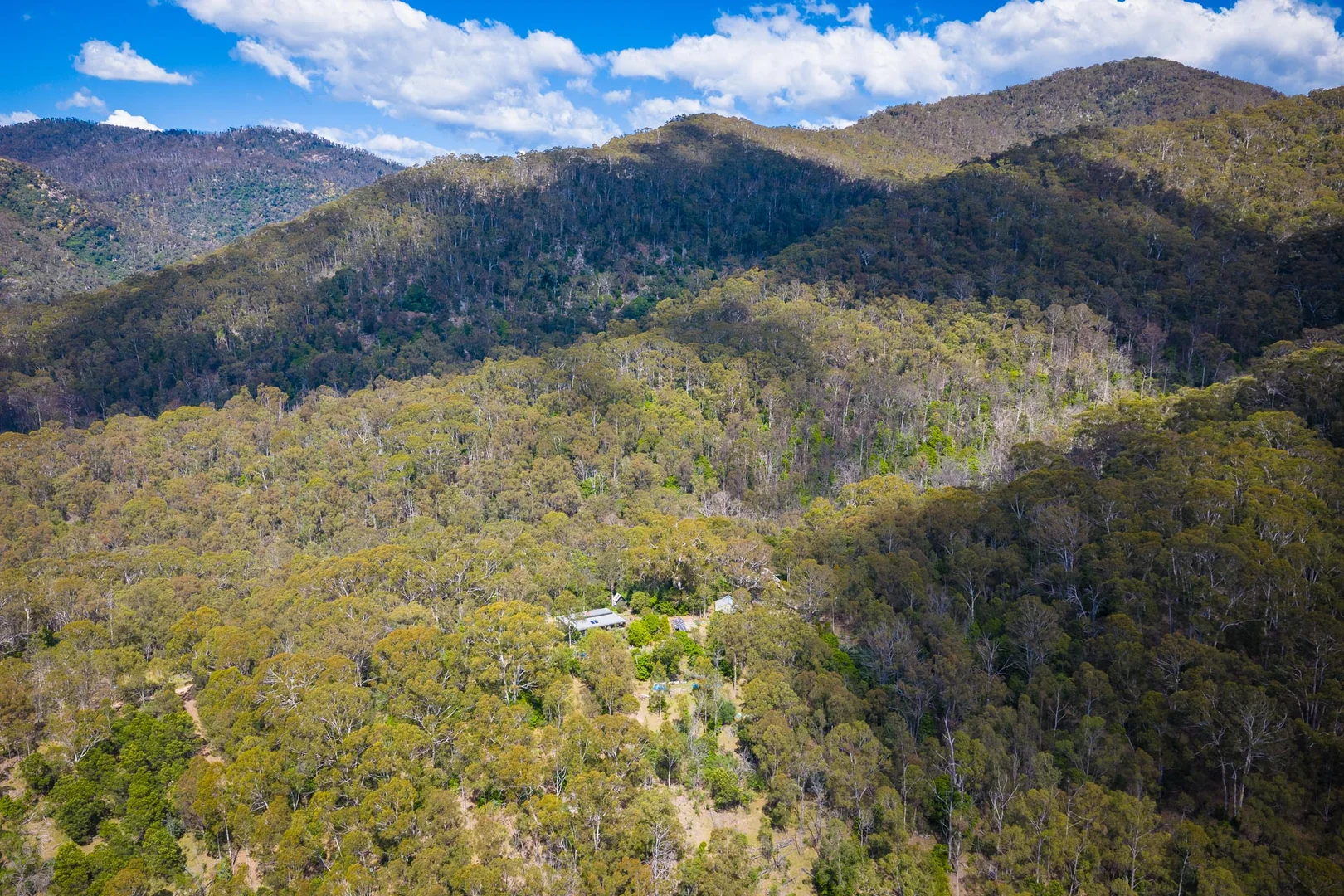 Additional image 18 of 723 Big Jack Mountain Road, New Buildings NSW 2550