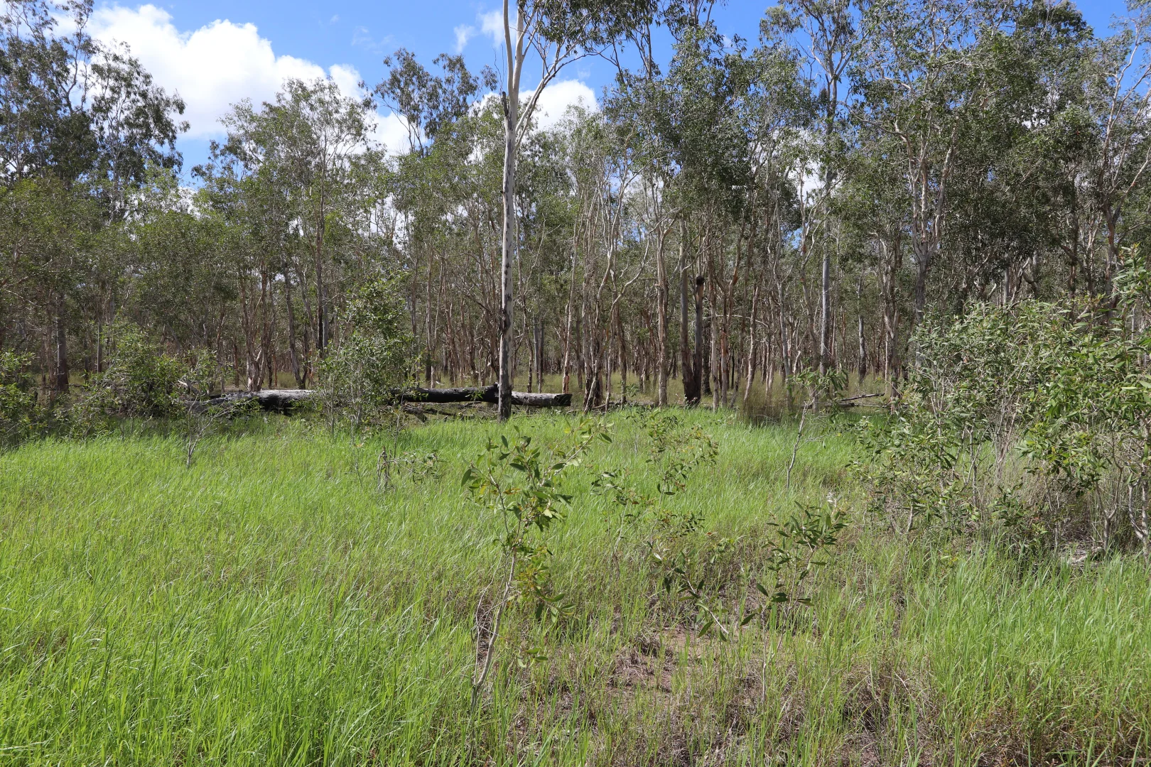 Additional image 10 of 330 Doonside Road, Jardine QLD 4702