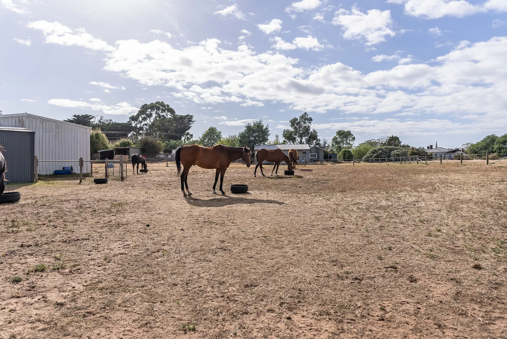 Additional image 6 of 36A High Street, Campbell Town TAS 7210