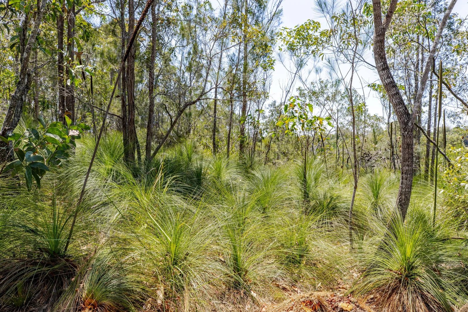 Additional image 9 of Lot 93/96 Mary Jane Drive, Julatten QLD 4871