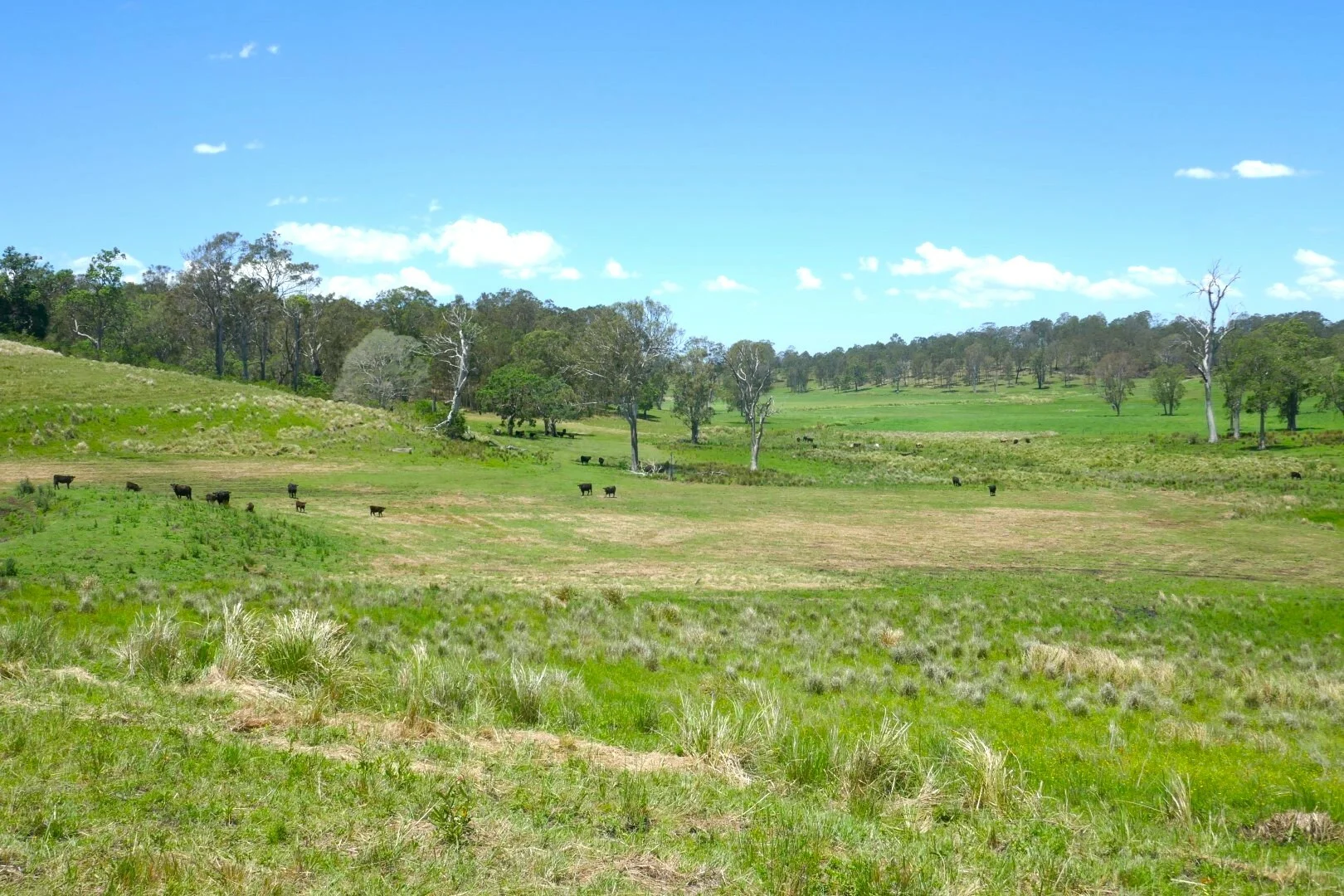 Additional image 10 of 600 Old Dyraaba Road, Casino NSW 2470