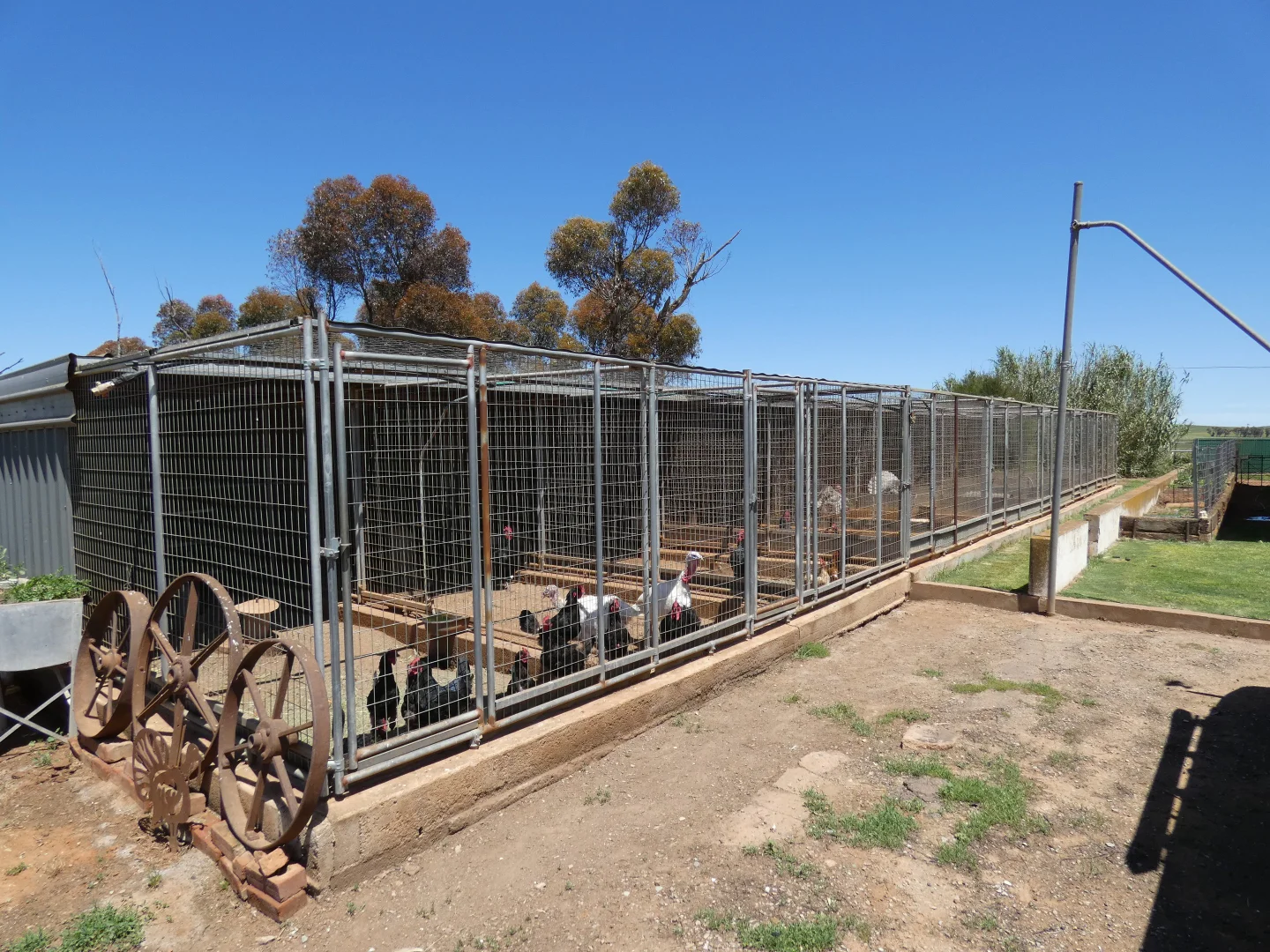 Additional image 26 of 1256 Belalie Rd, Canowie Belt SA 5420