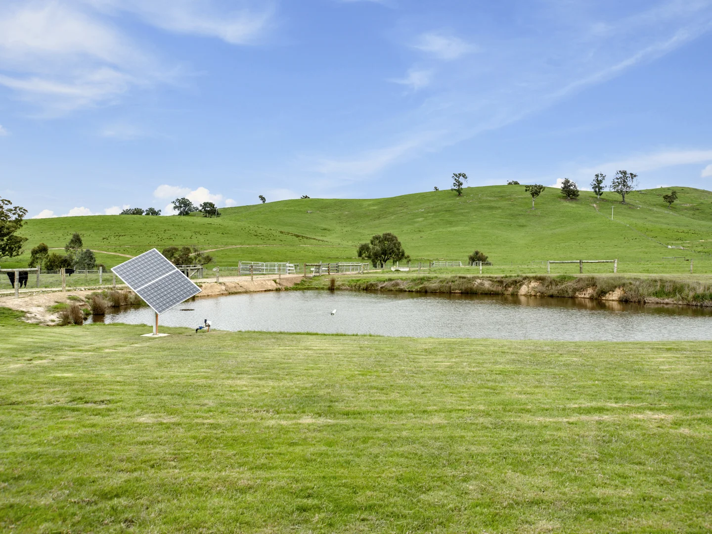 Additional image 16 of 146 Hobans Road, Alexandra VIC 3714