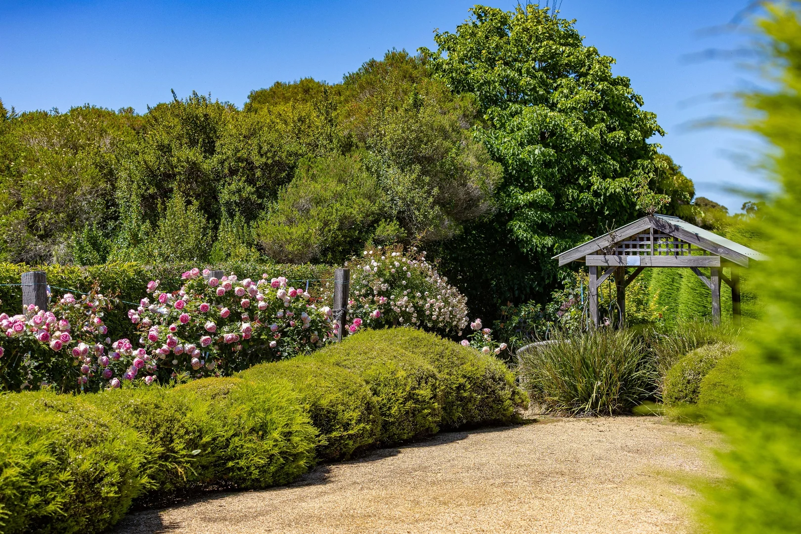 Additional image 10 of 2150 Mornington-Flinders Road, Flinders VIC 3929