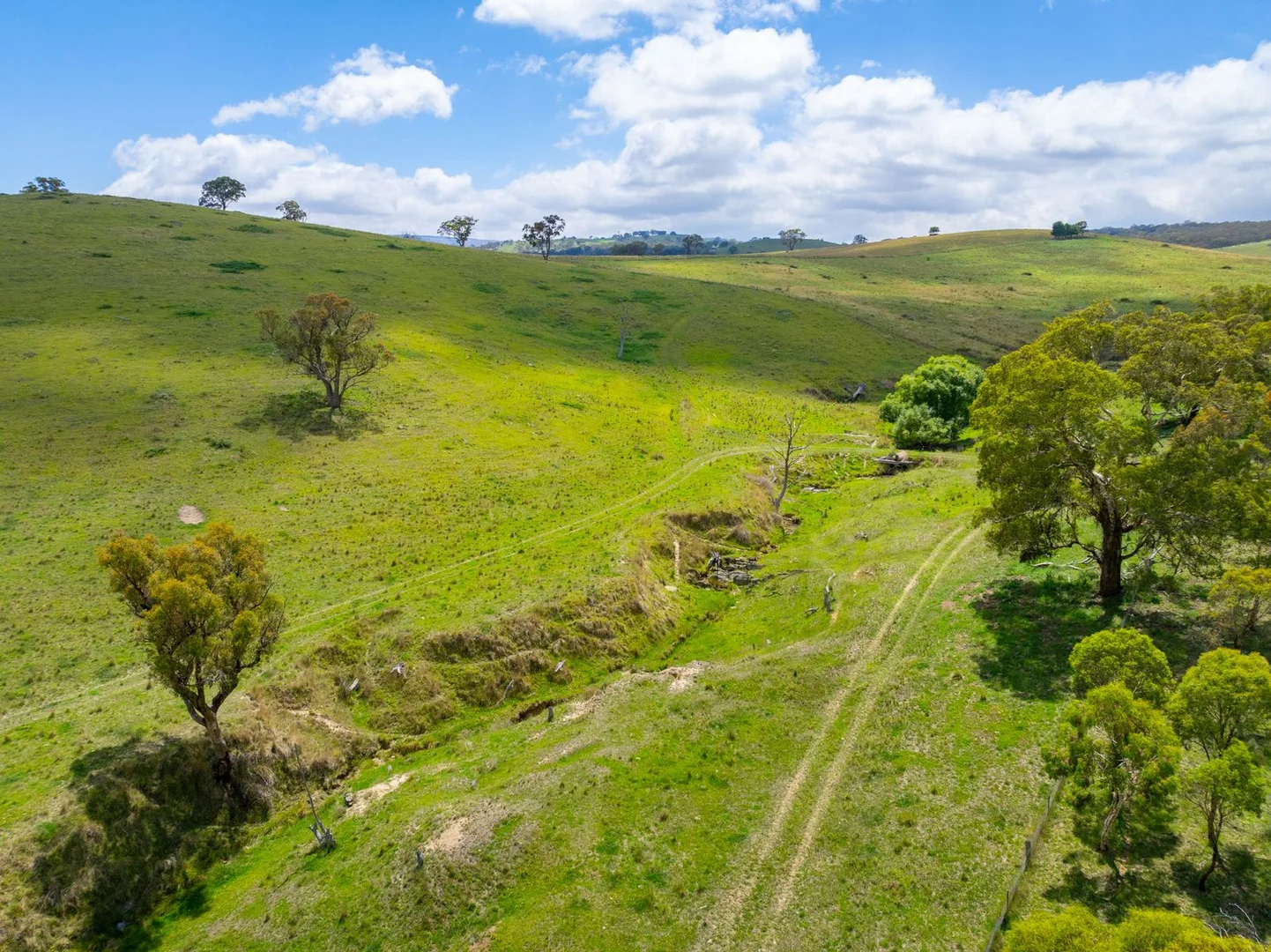 Additional image 43 of 188 Burkes Lane, Brewongle NSW 2795