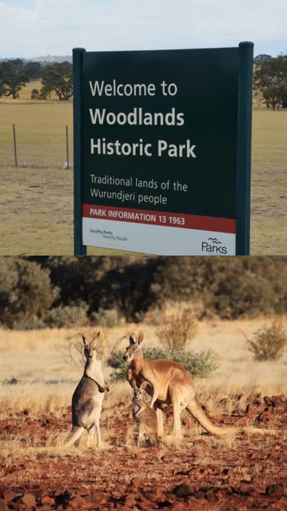 Additional image 9 of 5 Granite Close, Greenvale VIC 3059