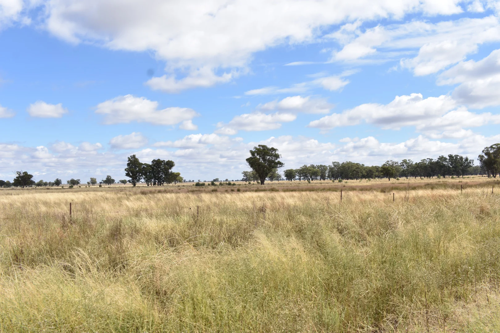 Additional image 51 of 987 Boorr Hill Road, Bruie Plains NSW 2875