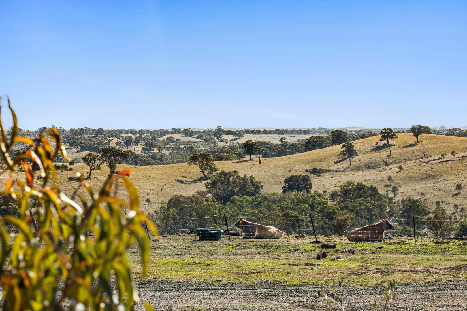 Additional image 23 of 2106 Heathcote Redesdale Road, Redesdale VIC 3444