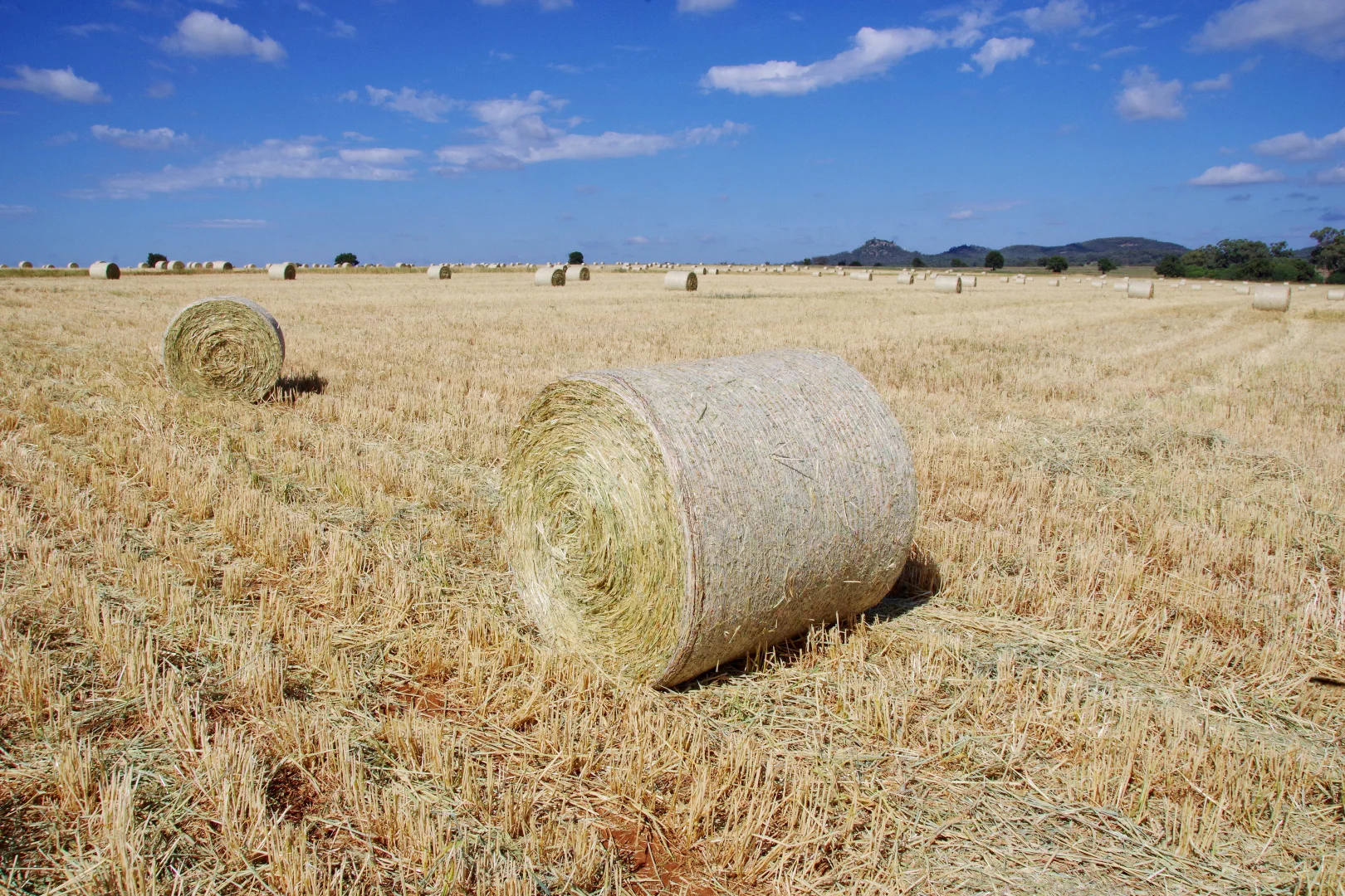 Additional image 25 of 1676 Willala Road, Boggabri NSW 2382