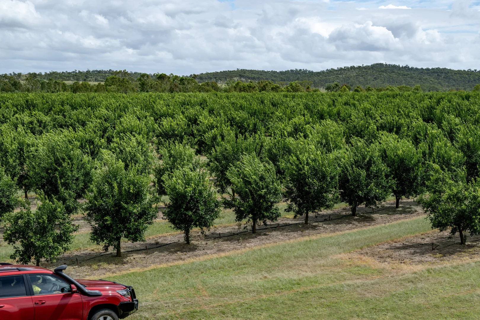 Additional image 8 of 100 Sandersons Lane, Mundubbera QLD 4626