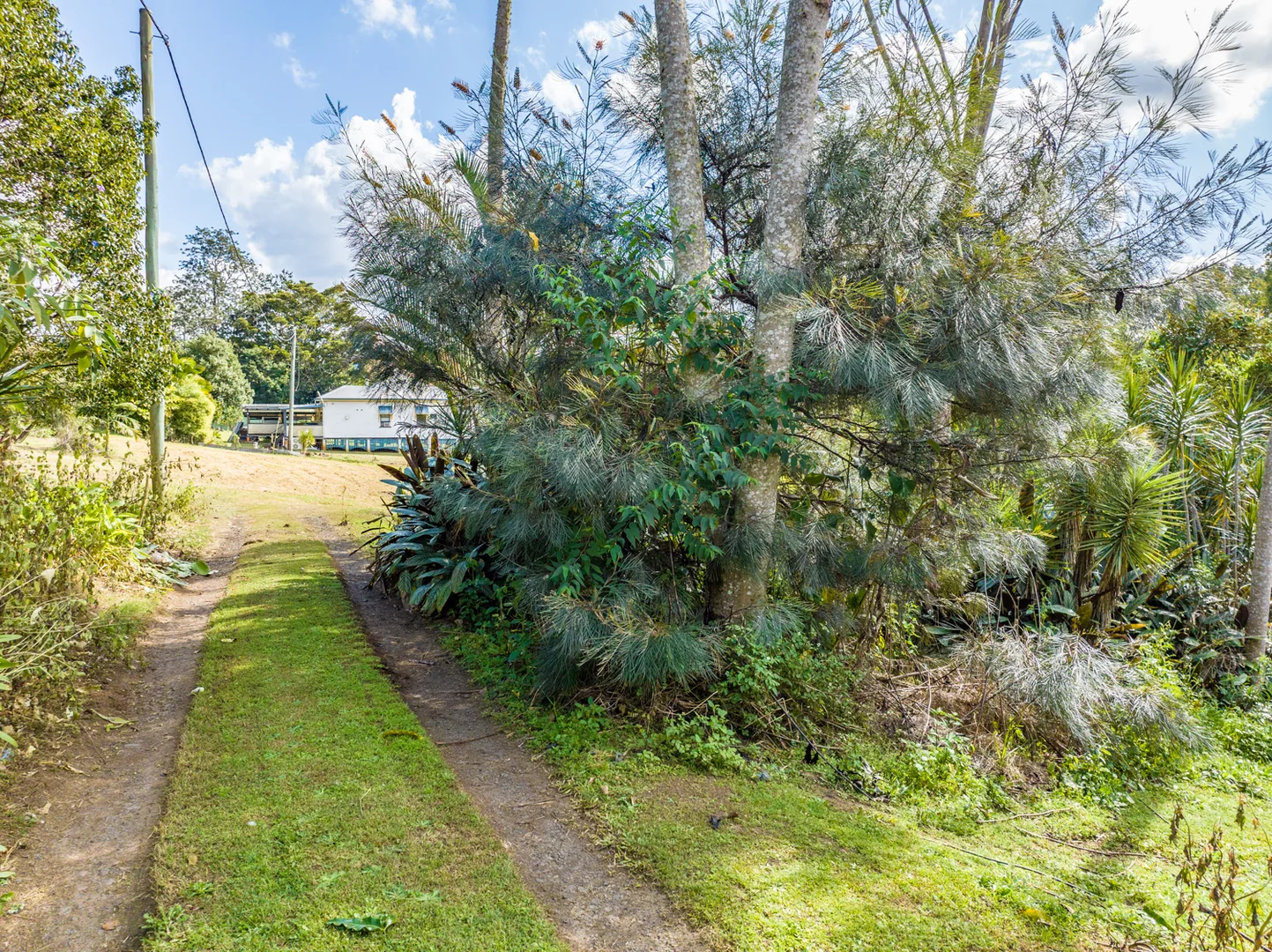 Additional image 21 of 110 Cullen Street, Nimbin NSW 2480