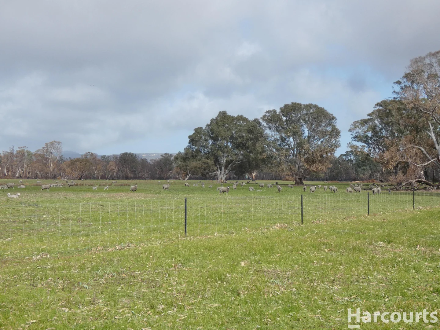 Additional image 10 of 6080 Western Highway, Dadswells Bridge VIC 3385