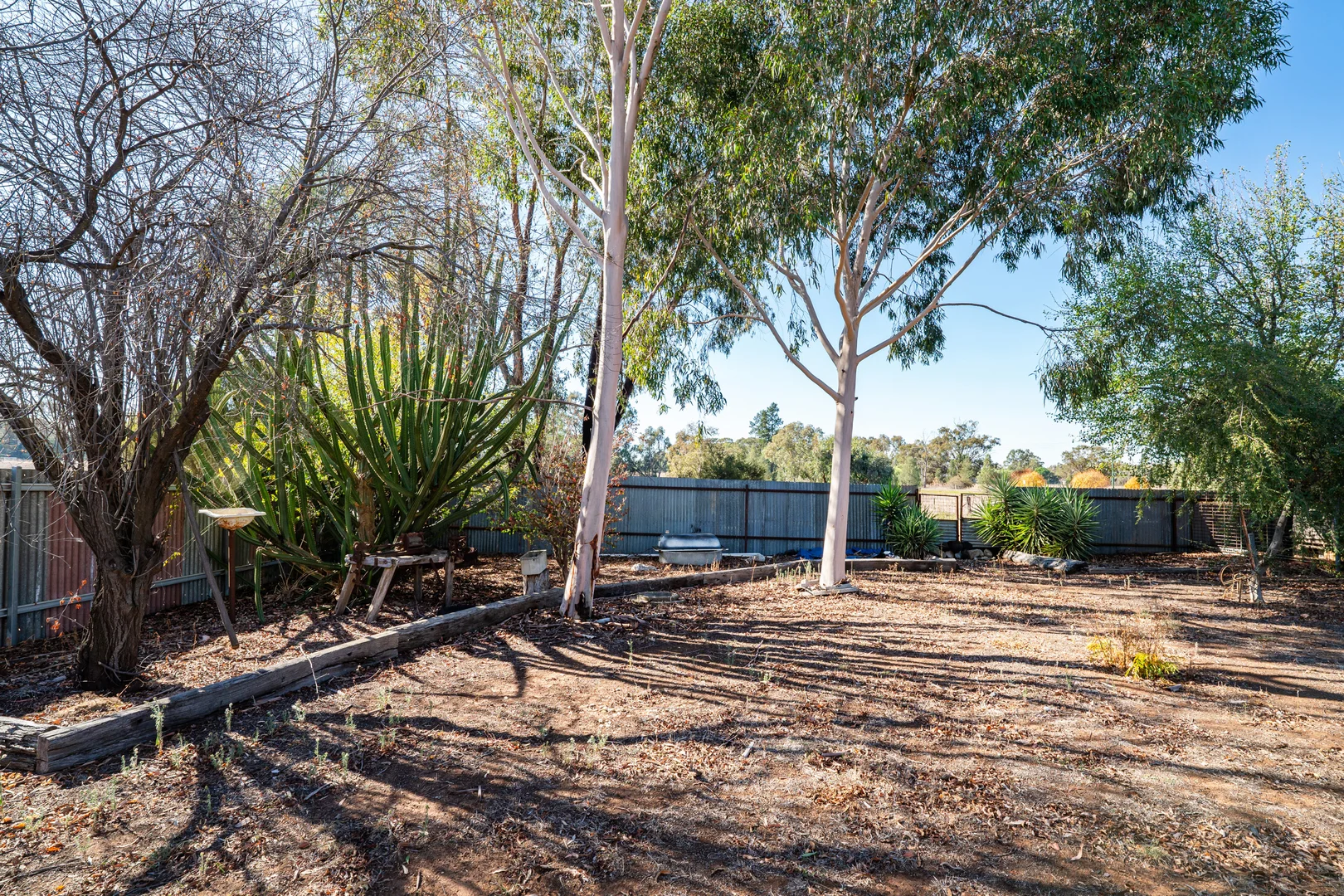 Additional image 14 of 1905 Kywong Howlong Road, Brocklesby NSW 2642