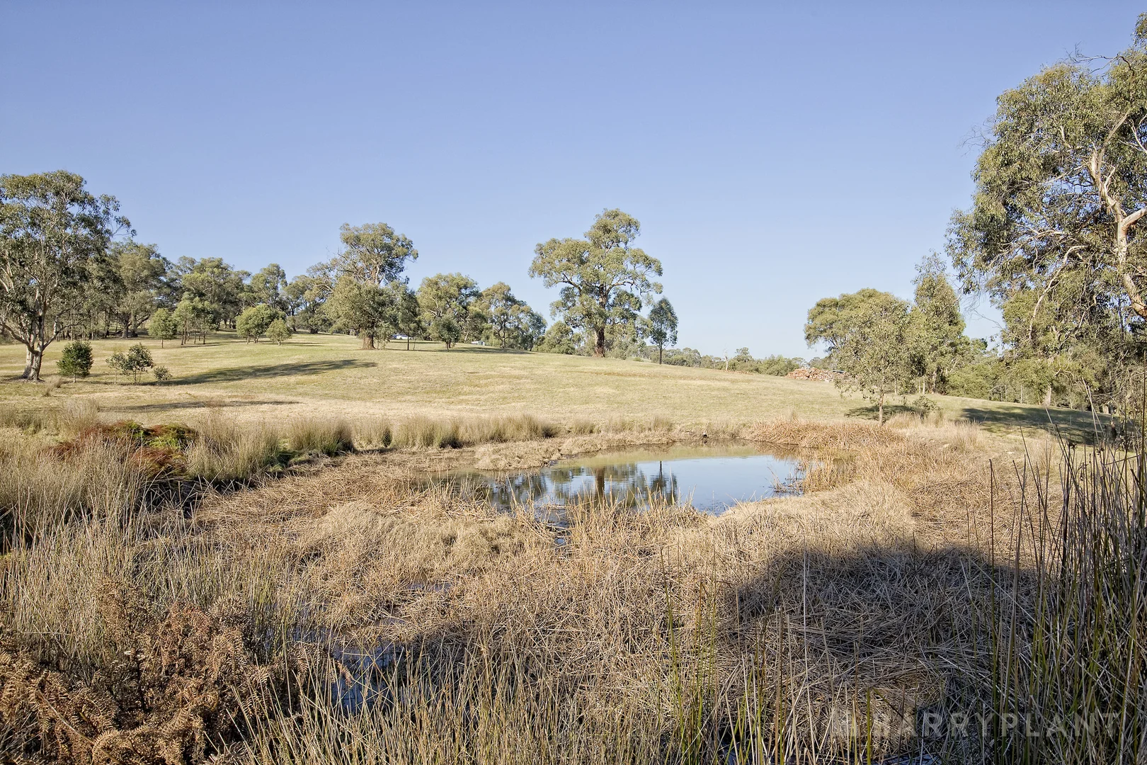 Additional image 31 of 450 Sheepstation Creek Road, Yellingbo VIC 3139