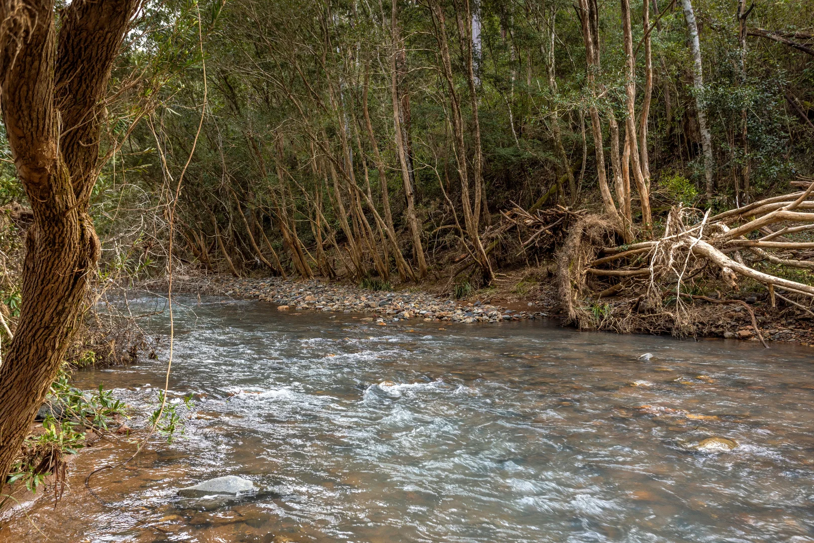 Additional image 11 of 791 Little Run Road, Wherrol Flat NSW 2429