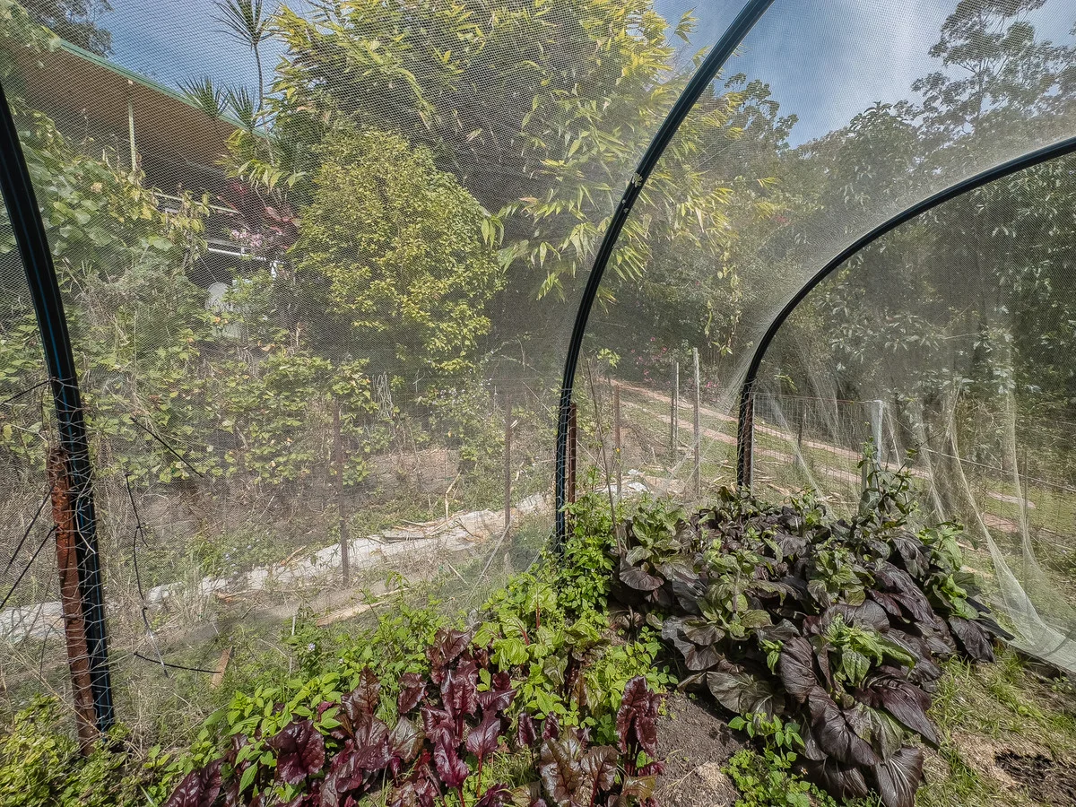 Additional image 24 of Share 38/193 Hidden Valley Road, Eungella NSW 2484