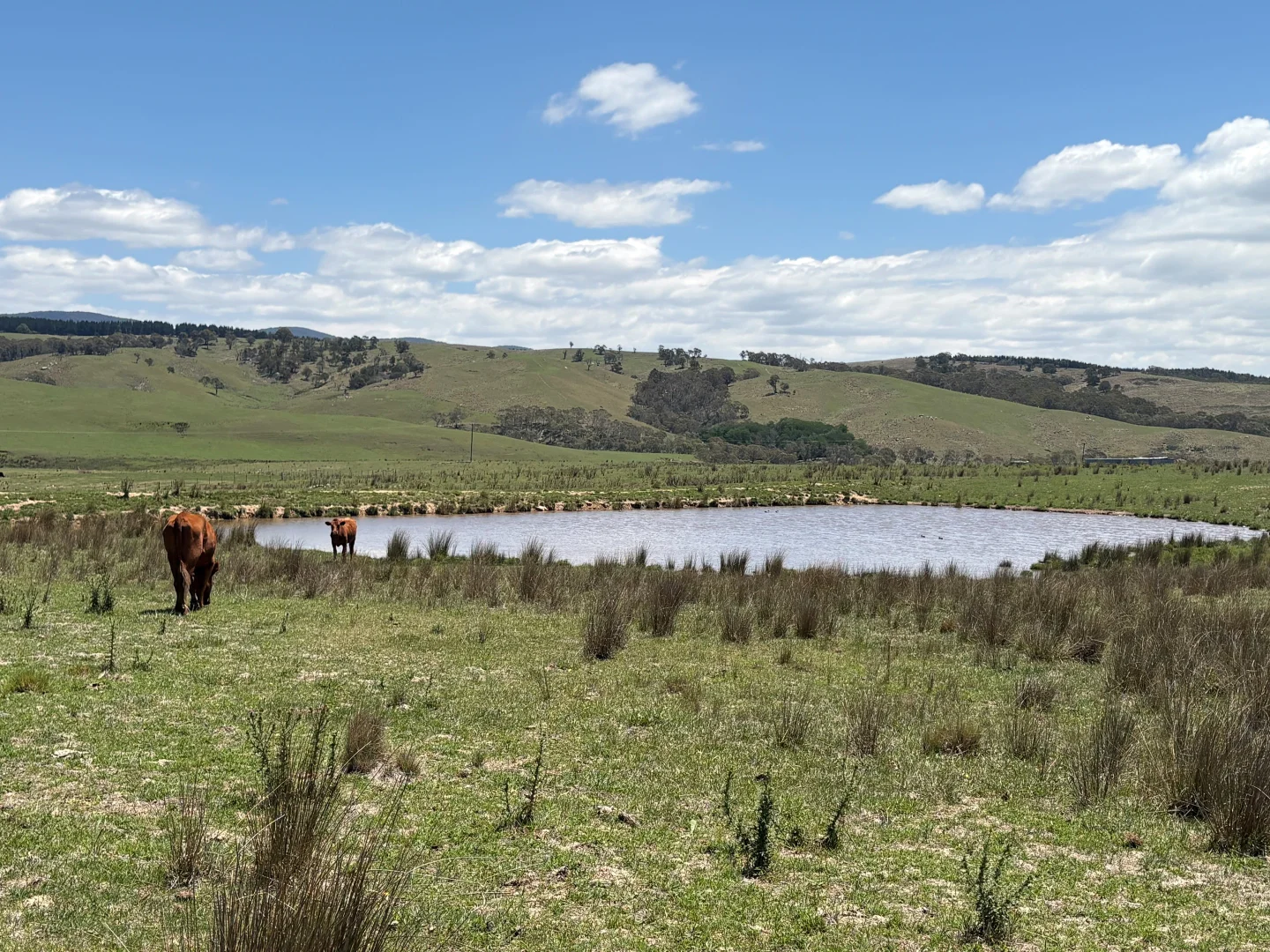 Additional image 8 of 130 Jerrabatgulla Road via Braidwood, Braidwood NSW 2622