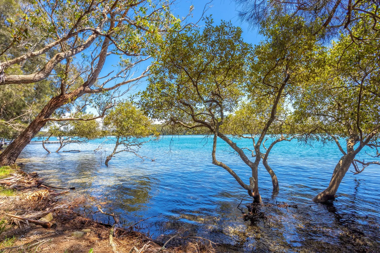 Additional image 8 of LOT 5 WALLIS ISLAND MAIN TRAIL, Forster NSW 2428