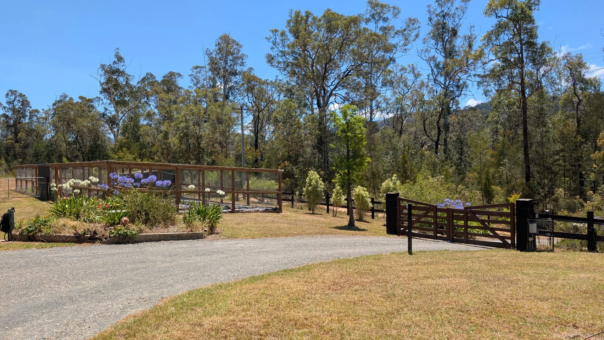 Additional image 3 of 115 Gulph Creek Road, Nerrigundah NSW 2545