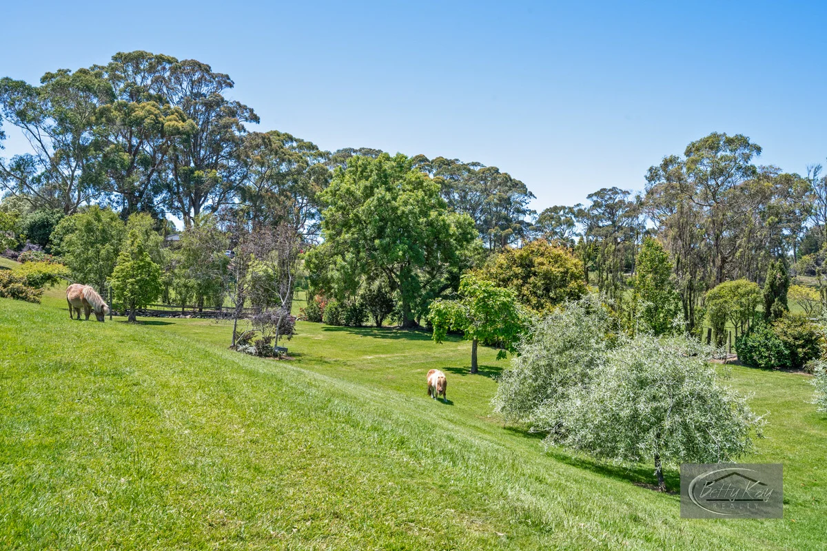 Additional image 31 of 99 King Street, Smithton TAS 7330