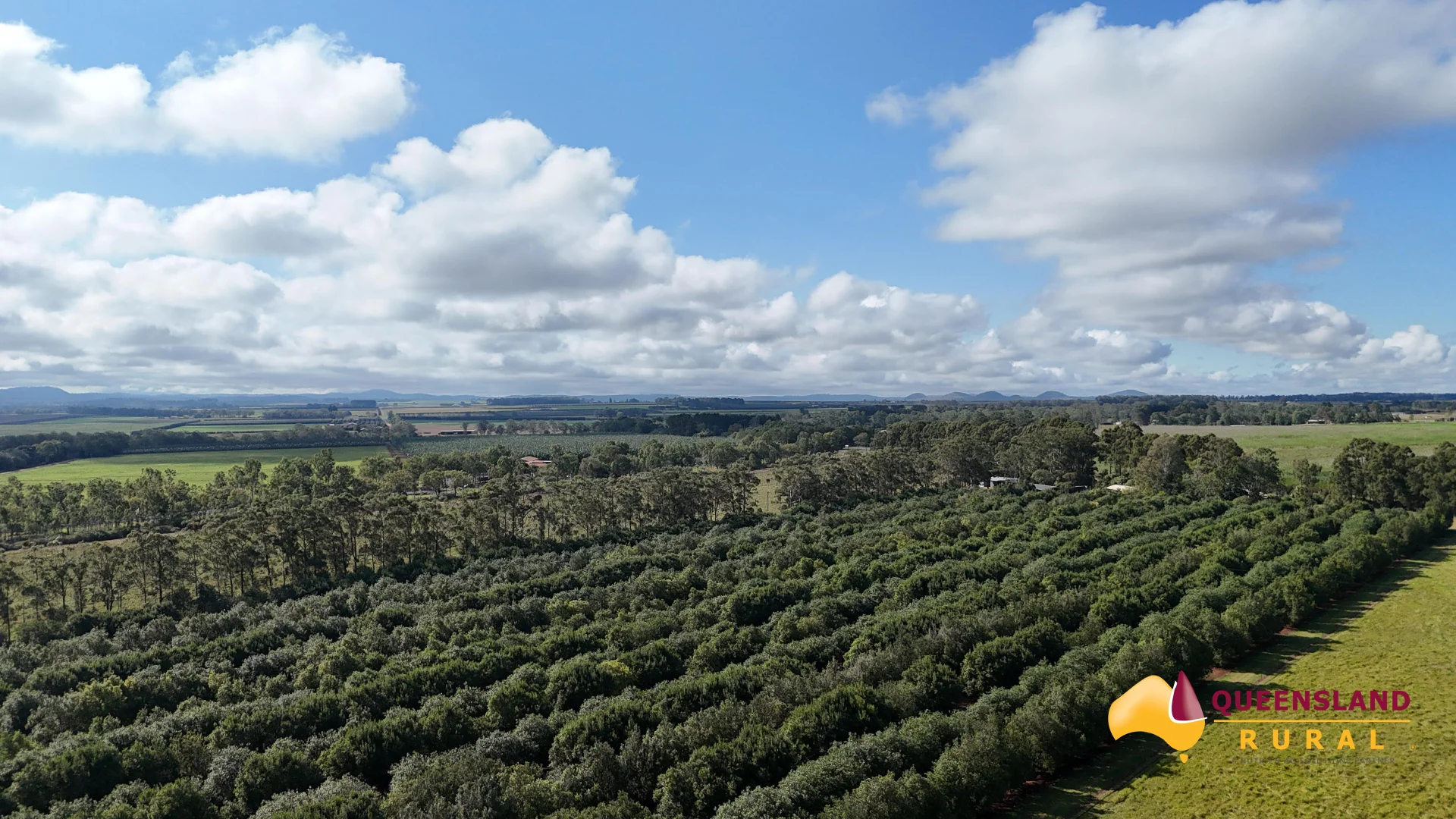 Additional image 5 of Banchio Road, Tolga QLD 4882